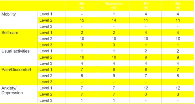 Table 22 presents the means and standard deviations of  the visual analogue Euro Qol VAS subscale, for the four  observations performed.