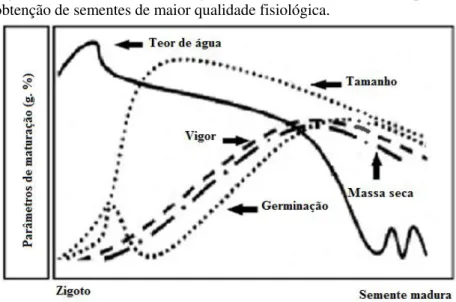 Figura 2 - Parâmetros de maturação associados ao momento ideal para a  obtenção de sementes de maior qualidade fisiológica