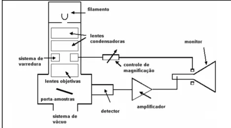 Figura  22  -  Diagrama  mostrando  a  composição  básica  de  um  Microcópio  Eletrônico  de  Varredura