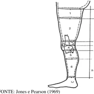 Figura  1  -  Desenho  esquemático  dos  locais  das  medições  antropométricas para obter o volume dos seis segmentos de cones 