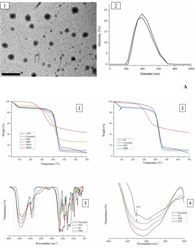 FIGURE  1.    (A)  PVP-CURCUMIN  NANOPARTICLES  SIZE  AND  MORPHOLOGICAL  CHARACTERIZATION:  1)  TEM  IMAGE  (SIZE  BAR  =  1µM);  2)  DLS  INTENSITY  SIZE  DISTRIBUTION  (DUPLICATE)