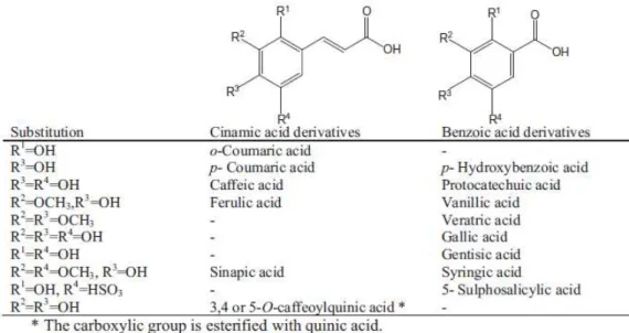 Figure 3. Chemical structures of benzoic and cinnamic acid derivatives usually found in mushrooms (Heleno et  al., 2014)