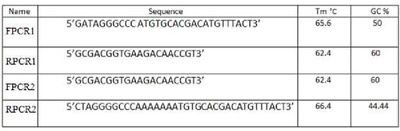 Table 1.List of primers used for gip silencing cassette construction