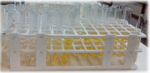 Figure 8.  Test tubes showing the β -carotene bleaching assay before absorbance measurement 