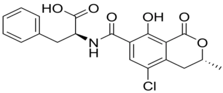Figure 2.1 Chemical structure of ochratoxin A (OTA) 