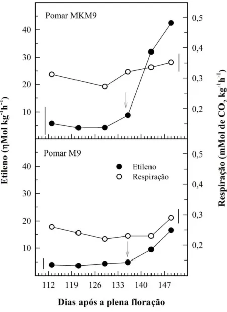 Figura  1  -  Taxas  respiratórias  e  de  produção  de  etileno  de  maçãs  ‘Daiane’  na  colheita