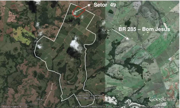 Figura 2 - Vista geral da propriedade, destacando a área amostrada setor 49. Fonte: Google  earth 2013