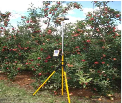 Figura 6- GPS móvel (rover) para georreferenciar as plantas (amostras), Vacaria 2011. 