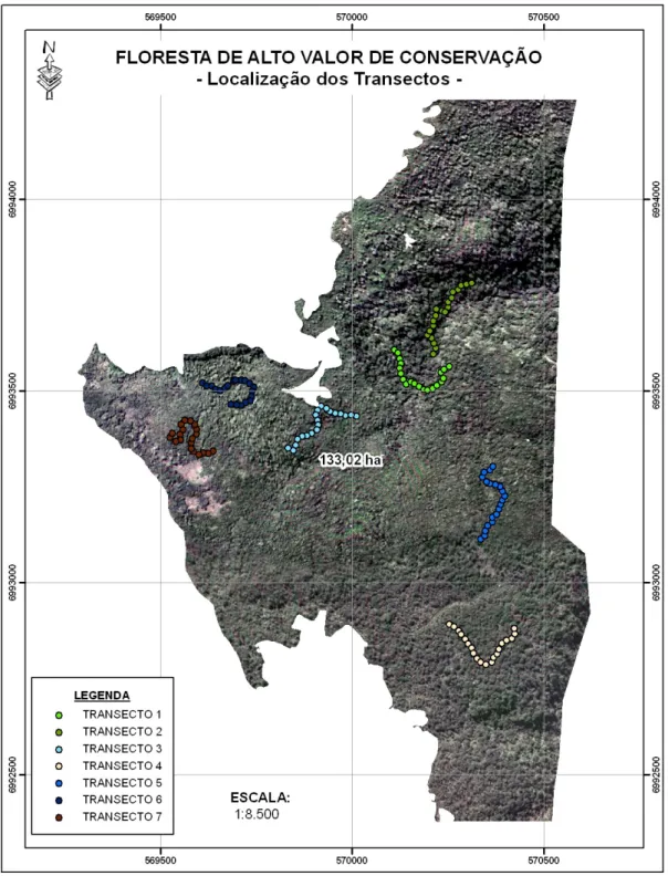 Figura  2  -  Localização  das  transecções  no  remanescente  florestal.  Cada  transecto  representado  por  uma  cor  diferente
