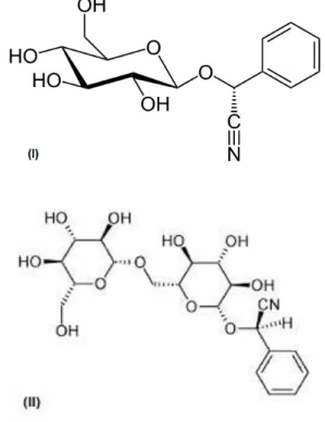 Figura 09 . Estrutura química dos glicosídeos cianogênicos “prunasina” 
