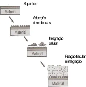 Figura 04. Seqüência de efeitos em cascata de reações na interface biomaterial tecido  (OREFICE et al.; 2006)