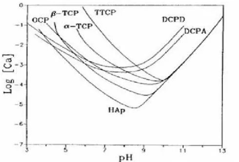 Figura 06: Solubilidade de várias fases de fosfatos no sistema Ca (OH) 2 -H 3 PO 4 -H 2 O  em função da concentração de cálcio e pH  [BROWN: 1994] 
