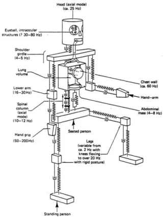 Figura 2. Corpo humano sujeito à vibração vertical, faixas de frequência onde ocorrem ressonâncias Fonte: Bruel&amp;Kӕr, 2000
