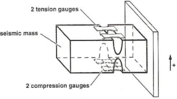 Figura 4. Desenho esquemático de um acelerômetro com funcionamento por strain gauge  Fonte: Nigg e Herzog, 1995