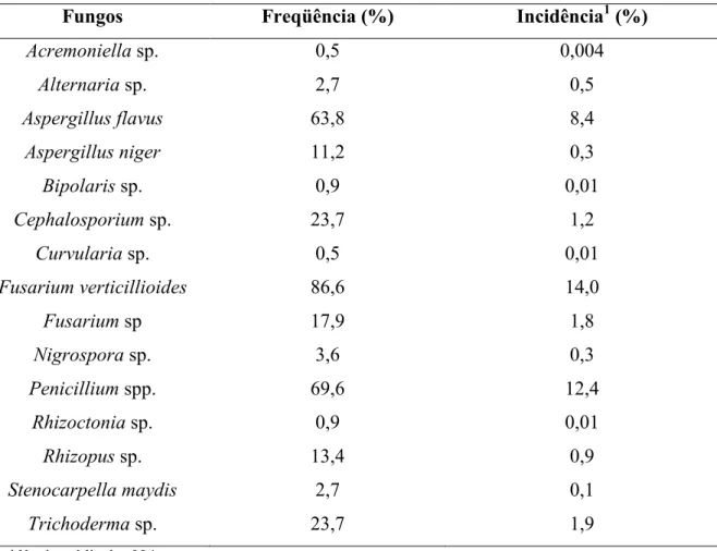 Tabela 1 &lt; Freqüência e incidência de fungos em sementes de milho comercializadas em Santa Catarina e Rio Grande do Sul na safra agrícola de 2006/07