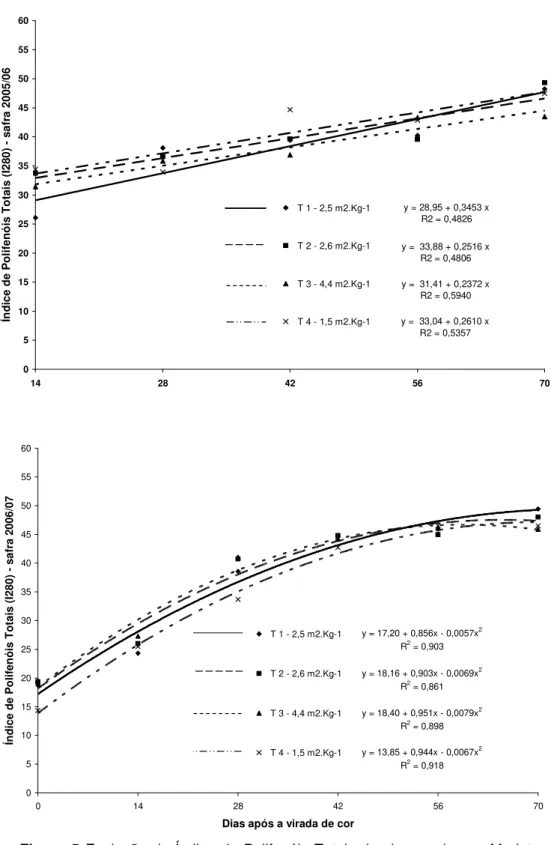 Figura  5  Evolução  do  Índice  de  Polifenóis  Totais  das  bagas  da  uva  Merlot  (Vitis  vinifera),  safras  2005/06  e  2006/07  em  diferentes  níveis  de  poda verde