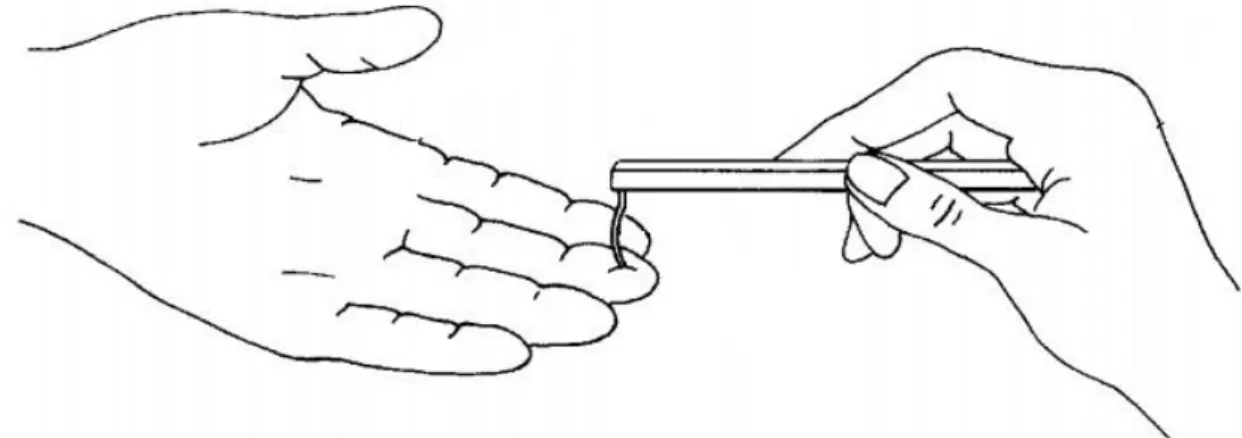 Figura 7 - Exemplo da aplicação do teste de sensibilidade de Semmes- Weinstein  Fonte: Adaptado Christy (1998, p