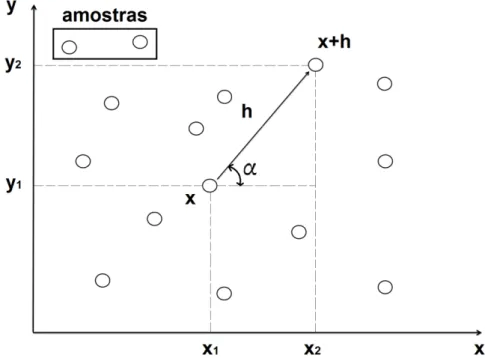 Figura 03. Amostragem em duas dimensões. Modificado de  Camargo (1997).