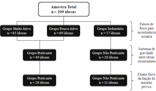 Figura  9:  Composição  da  amostra  segundo  o  nível  ou  prática  de  atividade  física  de  acordo  com  os  diferentes  objetivos do estudo