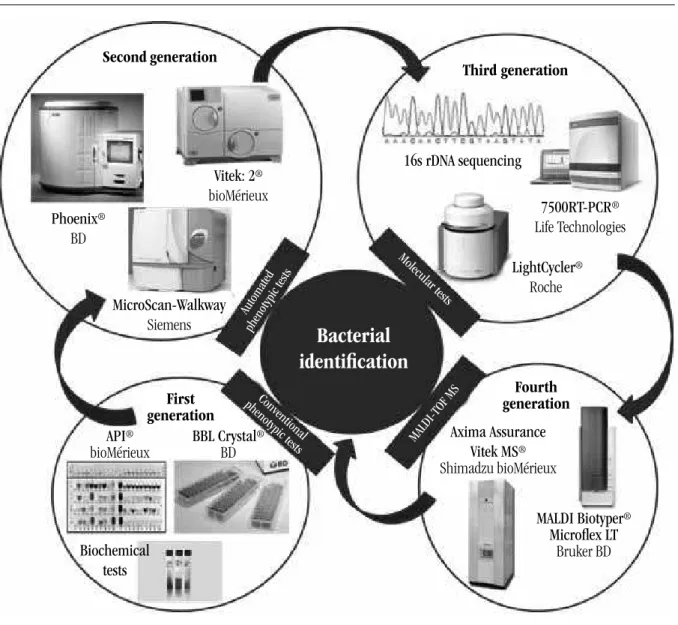 FIGURE 1 –   Evolution of bacterial identiication in the microbiology laboratory