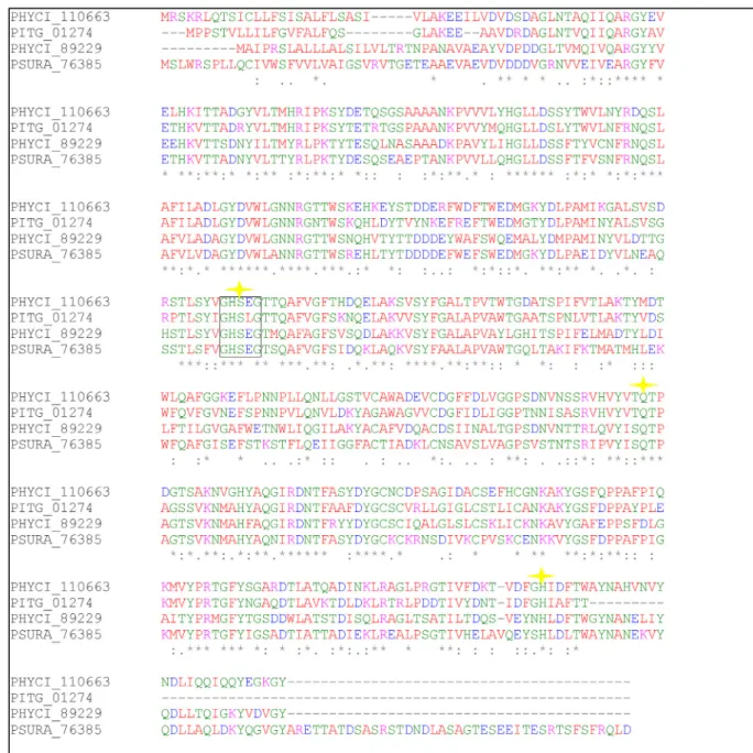 Fig. 2. Alignment of the primary structures of P. cinnamomi (PHYCI_110663 and PHYCI_89229), P