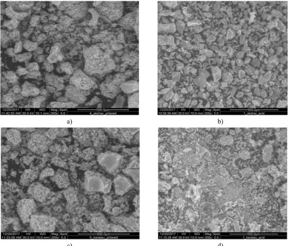 Figure 3 shows the microphotographs obtained by TEM analysis with pillared clays. 