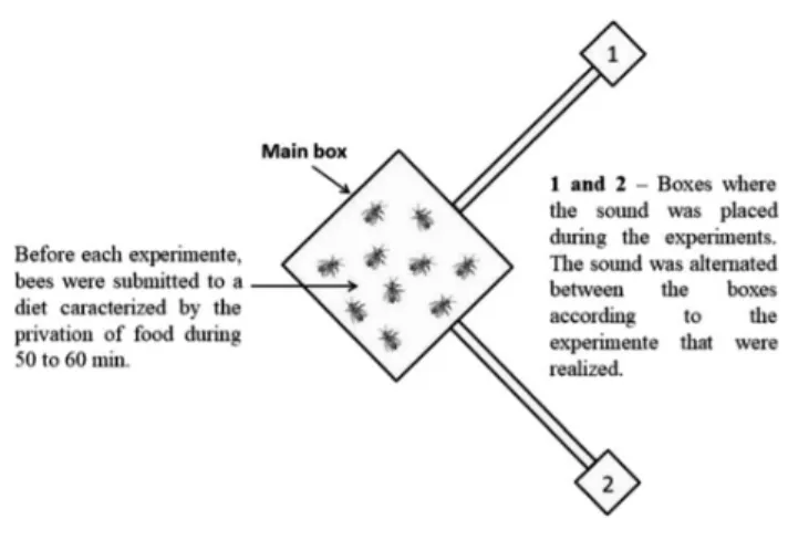 Fig. 8. Experiments scheme.