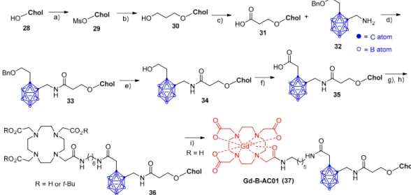 Figure 3. Schematic structures of a) cholesterol-free pHPMA-based copolymers (pHPMA-Hyd) bearing hydrazide groups; b) statistical cholesterol-containing (pHPMA-Chol) groups distributed along the polymer chain; and c) cholesterol-containing pHPMA-based copo