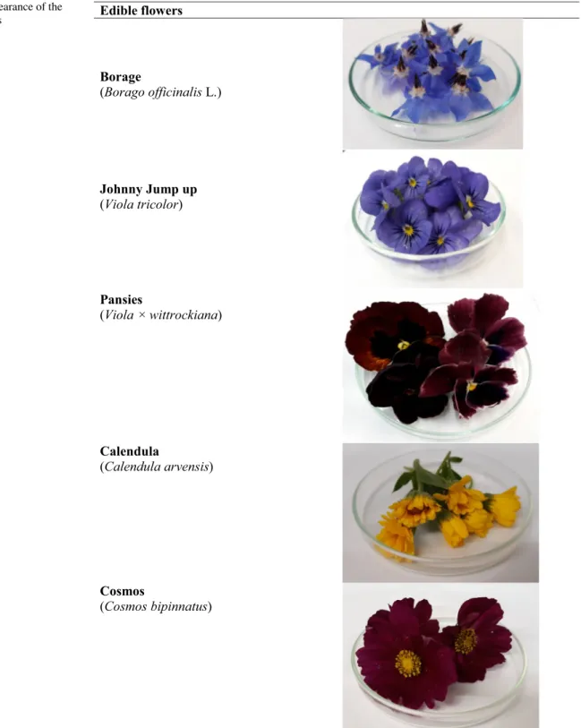 Fig. 1   Visual appearance of the 