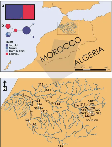 FIGURE 1 Map of the river Sebou basin showing the locations of the 26 sampling sites.