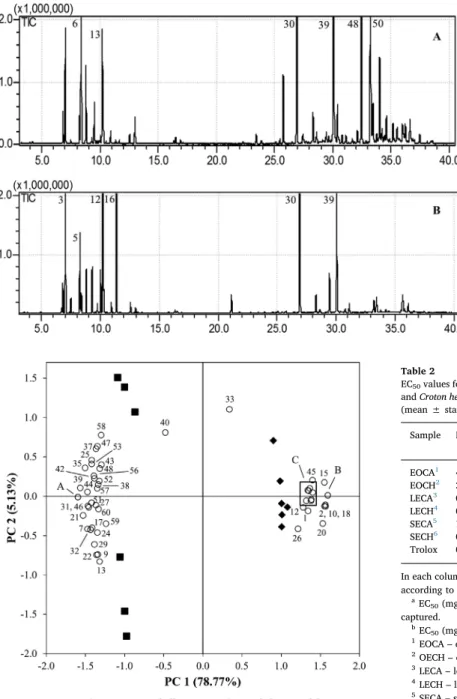 Fig. 2. Principal component analysis on the volatile composition of the essential oils of Croton argyrophyllus Kunth and Croton heliotropiifolius Kunth
