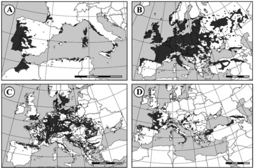 Fig. 6.2 European distribution of the most important Fagaceae species for the economy of Mediterranean Basin countries