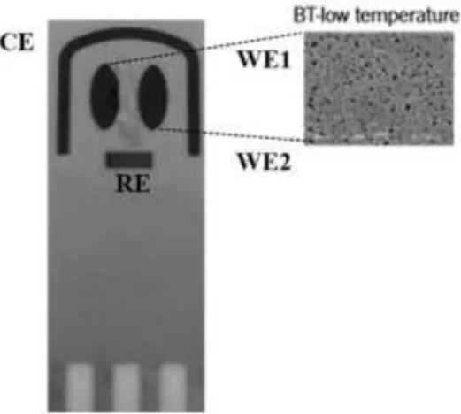 Figure 1. Schematic design of the dual-SPGEs and SEM image of the gold electrodes  surfaces processes at low temperature (BT) curing inks