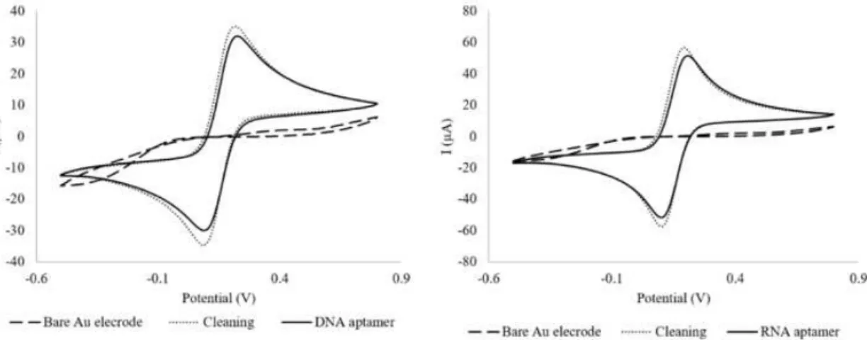 Figure  3.  Cyclic  voltammograms  of  the  bare  Au  electrode,  surface  cleaning  and  aptamers’  immobilization  steps  for  DNA  aptamer  (WE1)  and  RNA  aptamer  (WE2),  using a dual-SPGEs
