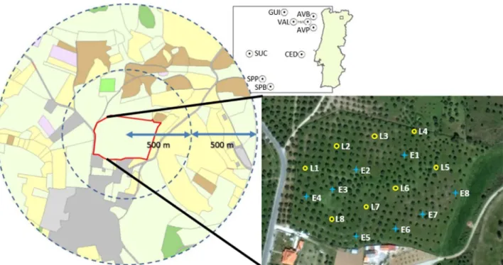 Fig. 1. Location and relative distances among the nine study sites sampled in northeastern Portugal