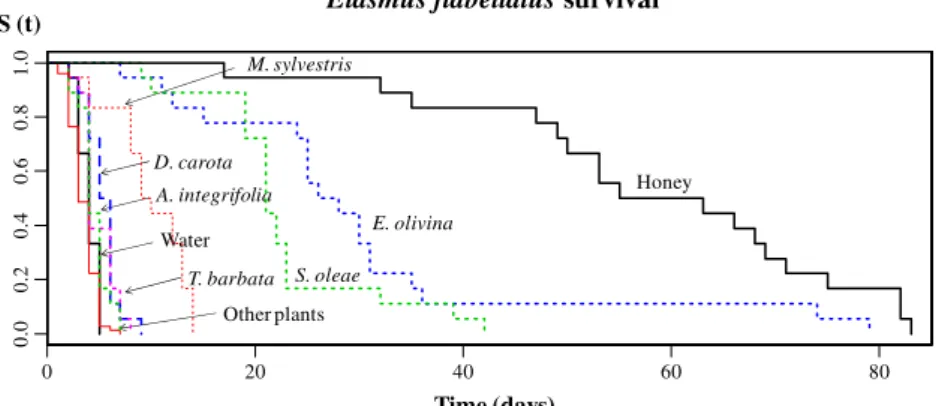 Fig. 2 Survival curves obtained by Kaplan – Meier estimates for adult females Elasmus flabellatus fed on different resources