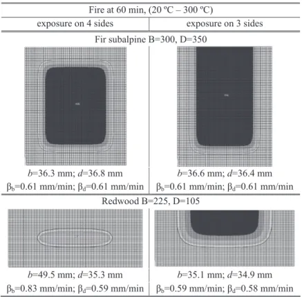 Figure 2: Mesh of the cross-section and thermal numerical results.