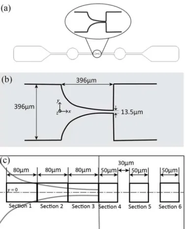 Figure 2. (a) Illustration of the entire microchannel view, (b) schematic diagram and geometries of the  microchannel focused on the hyperbolic contraction part, (c) deformation measurement sections with  corresponding lengths in microns