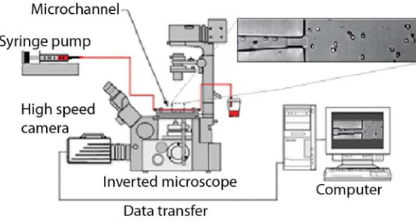 Figure 3. Experimental set-up. 