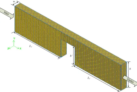 Figure 5: Representation of the computational domain and used mesh. 