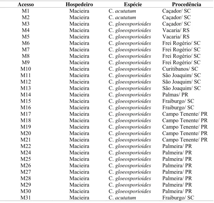 TABELA 1. Acesso, hospedeiro, espécie e procedência dos isolados de Colletotrichum spp