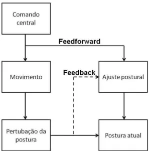 Figura  3.  Representação  esquemática  sugerindo  que  a  postura  e  a  atividade  motora  principal  são  coordenadas  por  um  comando  central