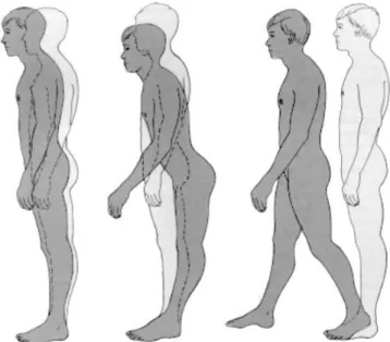 Figura 4. Três estratégias posturais usadas normalmente pelos adultos  no controle da postura ereta, da esquerda para a direita: estratégia do  tornozelo, do quadril e do passo (Shumway-Cook e Woollacott, 2001)