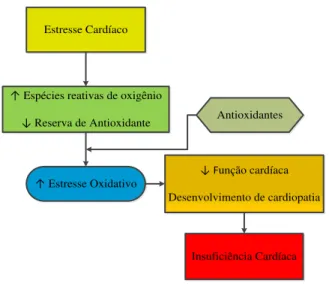 Figura  3  -  Esquema  proposto  da  função  do  estresse  oxidativo  no  desenvolvimento  da  insuficiência  cardíaca