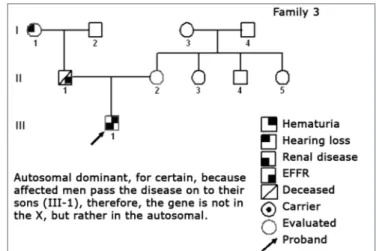 Figure  3.  Family  2  Inheritance  pattern  -  Probably  DLX,  because  all  daughters of the affected II-2 were affected.