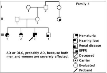 Figure 6. Family 5 Inheritance pattern - Probably DLX. The severity  contrast between men and women matches this inheritance pattern.