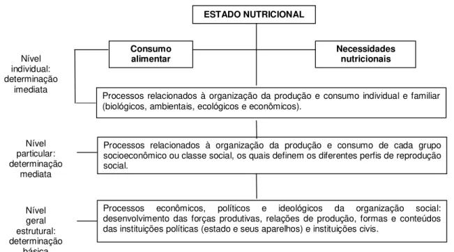 Figura 2 - Dimensão social do conceito de estado nutricional.  Fonte: Vasconcelos (2008).