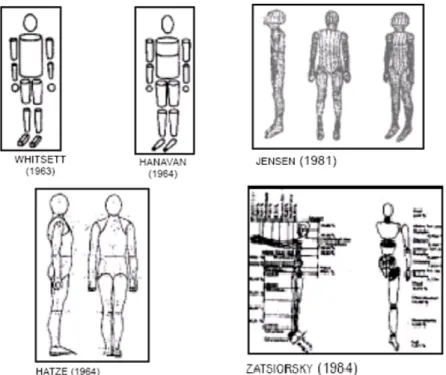 Figura 1 Evolução de modelos antropométricos biomecânicos Fonte: Amadio (1996, p. 51).