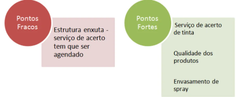 Figura 8 - Pontos fortes e fracos dos produtos e serviços oferecidos