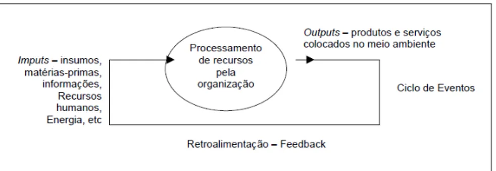 Figura 2  –  Visão sistêmica da organização. 